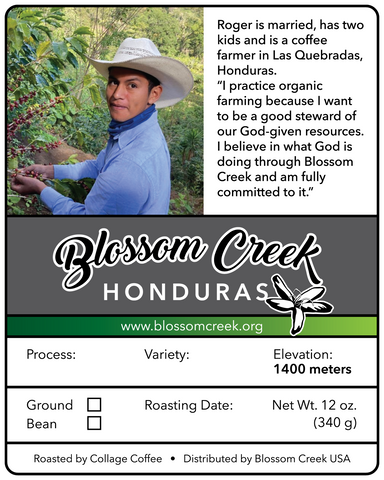 Blossom Creek.Honduras